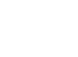 AnnLock